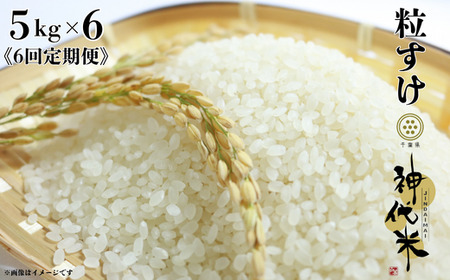 s6ցt_āij@ā@5kg ^   R ͂  _  ߘa7NY V  5kg  