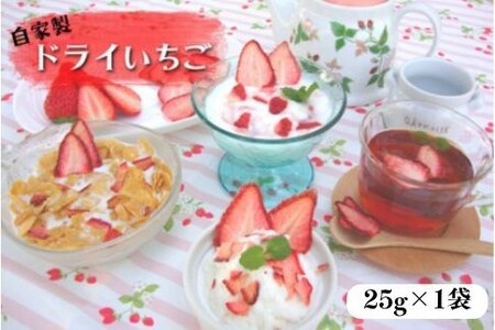 [磯山観光いちご園][お試し]自家製ドライいちご 25g×1袋 手作り いちご 苺 イチゴ ドライフルーツ 無添加 国産 果物 フルーツ 千葉県 東庄町