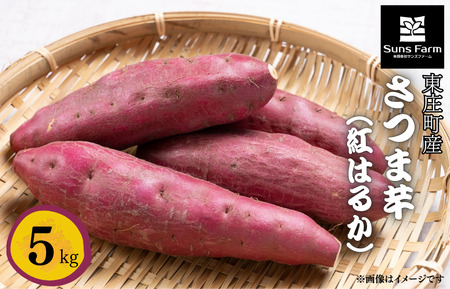 �������Y�@���܈��i�g�͂邩�j�@5kg �^ ���܈� ���܂��� �T�c�}�C�� �F���� �Ï� ���� �g�͂邩 �ׂɂ͂邩 �x�j�n���J �� ���� �C�� �_��s�g�p ���w�엿�s�g�p �����ܕs�g�p �Y�n��