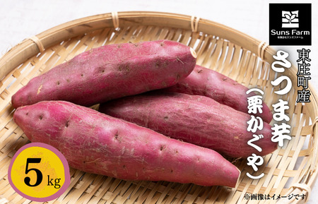 �������Y�@���܈��i�I������j�@5kg �^ ���܈� ���܂��� �T�c�}�C�� �F���� �Ï� ���� �I������ ���肩���� �N���J�O�� �� ���� �C�� �_��s�g�p ���w�엿�s�g�p �����ܕs�g�p �Y�n��