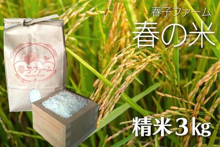 ＼令和6年産/ 春の米 精米/3kg