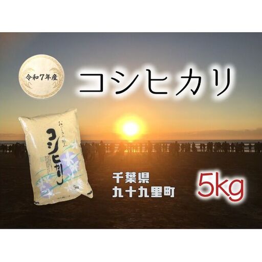 お米 千葉県産コシヒカリ5kg 米 コメ 精米 白米 甘い コシヒカリ こしひかり 九十九里町 千葉県
