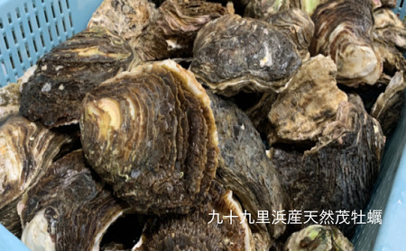 職人漁師が採る天然"茂牡蠣"小2kg入り(6〜8個)