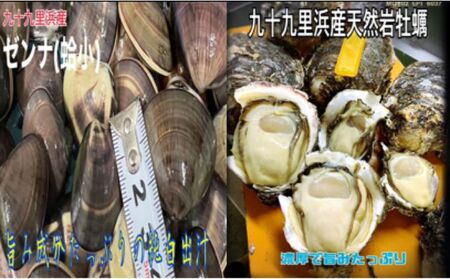 期間限定品純白出汁の天然"ゼンナ"とうま味が濃い天然岩牡蠣セット各2kg 合計4kg 魚貝類 海の幸 海鮮 貝 天然はまぐり 直送 生牡蠣 九十九里浜産