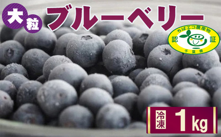 [栽培期間中農薬不使用]大粒冷凍ブルーベリー1kg「るりしずく」 千葉県芝山町産 / 新鮮 果物 果実 フルーツ ブランド 朝摘み 完熟 みずみずしい スムージー トッピング 朝食 おやつ デザート 間食 子供 贈答用 チャック付 送料無料 千葉県