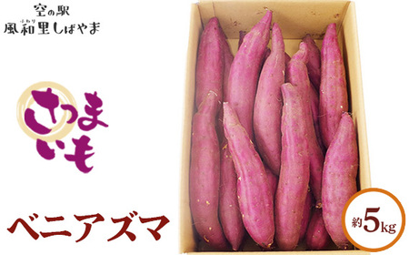 No.066 Tc}CixjAY}j5kg