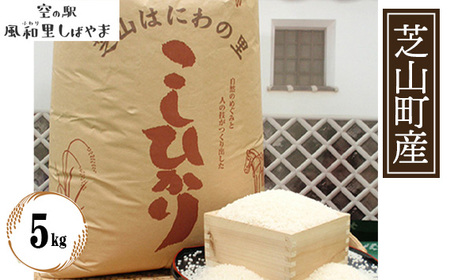 令和7年産 芝山産コシヒカリ5kg(精米)