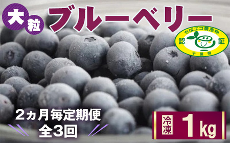 [2ヵ月毎定期便]大粒冷凍ブルーベリー1kg「るりしずく」 全3回 / 定期的 新鮮 果物 果実 フルーツ ブランド 朝摘み 完熟 みずみずしい スムージー トッピング 朝食 おやつ デザート 間食 子供 贈答用 チャック付 送料無料 千葉県