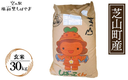 令和7年産 芝山産コシヒカリ30kg(玄米)