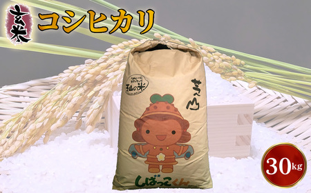 令和7年産 千葉県芝山町産 コシヒカリ 玄米30kg 色選処理済 / コシヒカリ 玄米 30kg 大容量 国産米 一等米 色選別済み 精米前 米ストック 家庭用 業務用 まとめ買い 千葉県