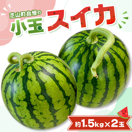 小玉スイカ ／ すいか 小玉 約1.5kg×2玉 芝山町産 厳選 旬 食べきりサイズ 水分補給 夏 甘い 高糖度 おやつ デザート 西瓜 お取り寄せ 産地直送 産直 送料無料 青果 千葉県 No.094