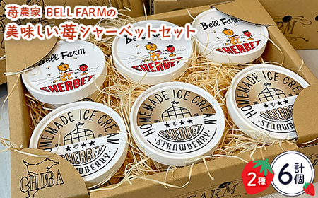 農家直送!BELL FARMの美味しい苺シャーベット 2種×3 6個セット[配送不可地域:離島]