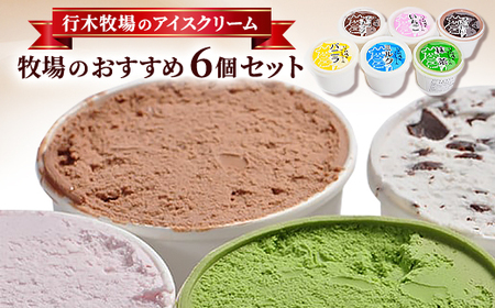 【行木牧場のアイスクリーム】牧場おすすめ6個セット「しぼりたて牛乳で作りました」【配送不可地域：離島】【1491605】