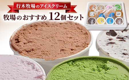 【行木牧場のアイスクリーム】牧場おすすめ12個セット「しぼりたて牛乳で作りました」ZE-3rr【配送不可地域：離島】【1491609】