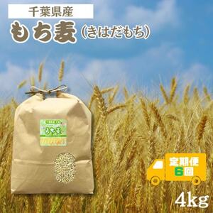 yցzH@ۂՂ́uv(͂) 4kg tŌYS6y4056807z