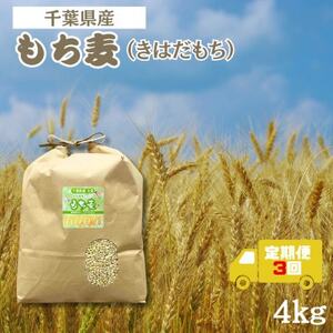 yցzH@ۂՂ́uv(͂) 4kg @tŌYS3y4056808z