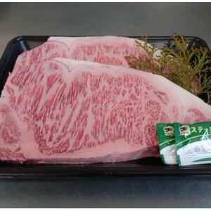 国産黒毛和牛サーロインステーキ 500g[配送不可地域:離島]