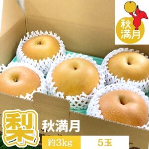 ytŌYz2021Nfr[̐ViwHx3kg(5) ̂悤ȑʂ̗y1673016z