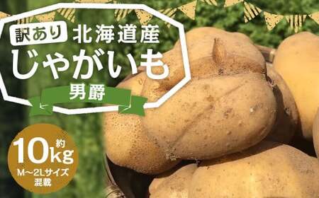 【訳あり】北海道産 じゃがいも 男爵 M～2Lサイズ混載 約10kg 1箱 山田農場 ジャガイモ 芋 いも イモ 訳アリ わけあり ワケアリ 国産 【2025年9月下旬-2026年3月上旬迄発送予定】