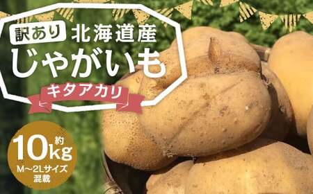 【訳あり】北海道産 じゃがいも キタアカリ M～2Lサイズ混載 約10kg 1箱 山田農場 ジャガイモ 芋 いも イモ 訳アリ わけあり ワケアリ 国産 【2025年9月下旬-2026年3月上旬迄発送予定】