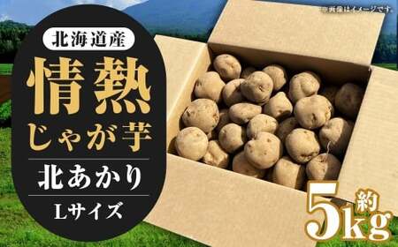 [先行受付]北海道産 情熱じゃが芋(北あかり) Lサイズ 計約5kg 株式会社マルエイ商事 じゃがいも じゃが芋 ジャガイモ 芋 いも イモ 国産[2025年10月下旬〜2025年12月上旬迄発送予定]
