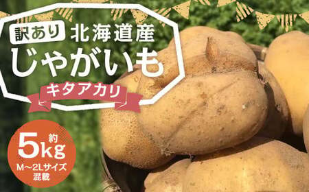 [訳あり]北海道産 じゃがいも キタアカリ M〜2Lサイズ混載 約5kg 1箱 山田農場 ジャガイモ 芋 いも イモ 訳アリ わけあり ワケアリ 国産 [2025年9月下旬-2026年3月上旬迄発送予定]
