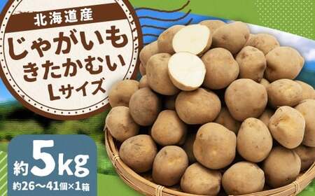 じゃがいも （きたかむい） Lサイズ 約5kg × 1箱 約5kg （JA） 【2026年1月上旬～2月下旬迄発送予定】 ジャガイモ 芋 いも 野菜 やさい 北海道 京極町 常温