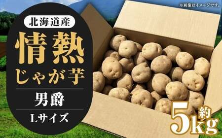 【先行受付】北海道産 情熱じゃが芋（男爵） Lサイズ 計約5kg 株式会社マルエイ商事 じゃがいも じゃが芋 ジャガイモ 芋 いも イモ 国産【2026年10月上旬～2026年12月上旬迄発送予定】