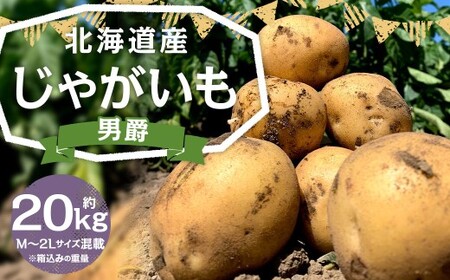 北海道産 じゃがいも 男爵 M～2Lサイズ混載 約20kg 1箱 山田農場 ジャガイモ 芋 いも イモ 国産 【2026年9月下旬-2027年1月上旬迄発送予定】