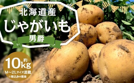 北海道産 じゃがいも 男爵 M～2Lサイズ混載 約10kg 1箱 山田農場 ジャガイモ 芋 いも イモ 国産 【2026年9月下旬-2027年1月上旬迄発送予定】