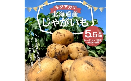 [ ふるなび限定 ] 北海道産じゃがいも ( キタアカリ ) 約5.5kg 山田農場 FN-Limited じゃがいも ジャガイモ いも イモ 芋 野菜 やさい 栗じゃが 産地直送 国産 北海道産 [ 2026年9月下旬-2027年1月上旬迄発送予定 ]