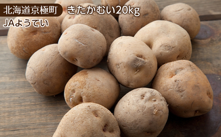 北海道ようてい産じゃがいも20kg（きたかむい）［JAようてい］野菜 じゃがいも きたかむい 20kg 料理