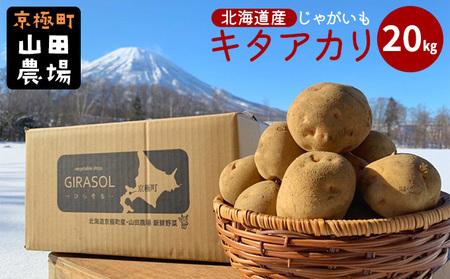 北海道産じゃがいも〈キタアカリ〉20kg［京極町］ 野菜 キタアカリ じゃがいも 北海道 20kg 料理
