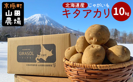 北海道産じゃがいも[キタアカリ]10kg[京極町] 野菜 キタアカリ じゃがいも 北海道 10kg 料理