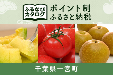 [有効期限なし!後からゆっくり特産品を選べる]千葉県一宮町カタログポイント