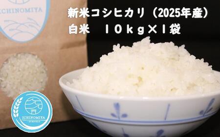 千葉県一宮町産コシヒカリ(白米10kg)令和7年度産米[2025年発送分]