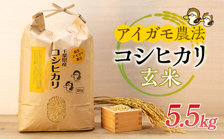 アイガモ農法によるお米(玄米5.5kg)