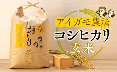 玄米30KGのふるさと納税 返礼品 検索結果 | ふるさと納税サイト