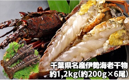 C04-E04 ɐCV̊ 200g×6