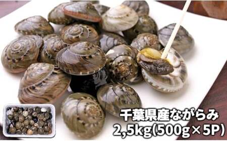 千葉県産ながらみ 2.5kg