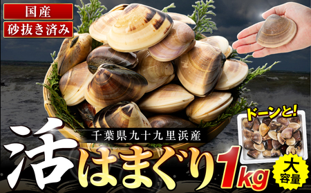 千葉県産活ハマグリ 1kg