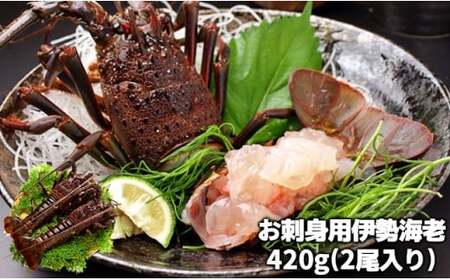 刺身用活〆冷凍伊勢海老 420g