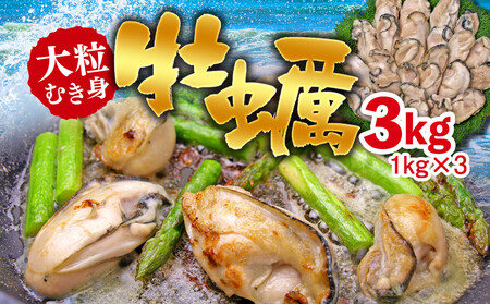 C01-H31 大粒むき身牡蠣 3kg（約20～30粒×3袋）