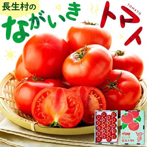E01-002 ながいきトマト 8kg