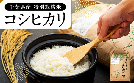AB1-003 特別栽培米 コシヒカリ(白米)4.5kg