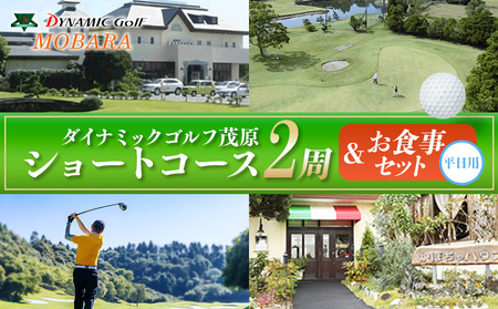 ダイナミックゴルフ ショートコース2周&お食事セット(平日)