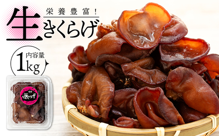 生きくらげ