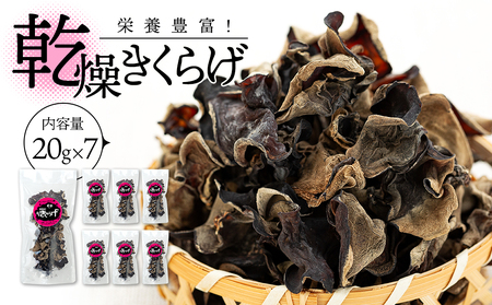 乾燥きくらげ
