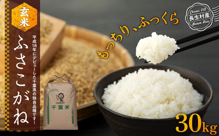 H04-B01 ふさこがね（玄米30kg）令和7年産