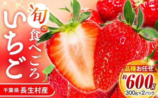 AK00-002　いちご 平パック2個セット（300g×2個）